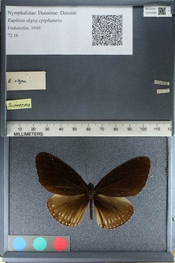 Media type: image;   Entomology 160922